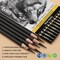 Black and White Charcoal Pencils, Charcoal Sticks 22 Piece Pro Art